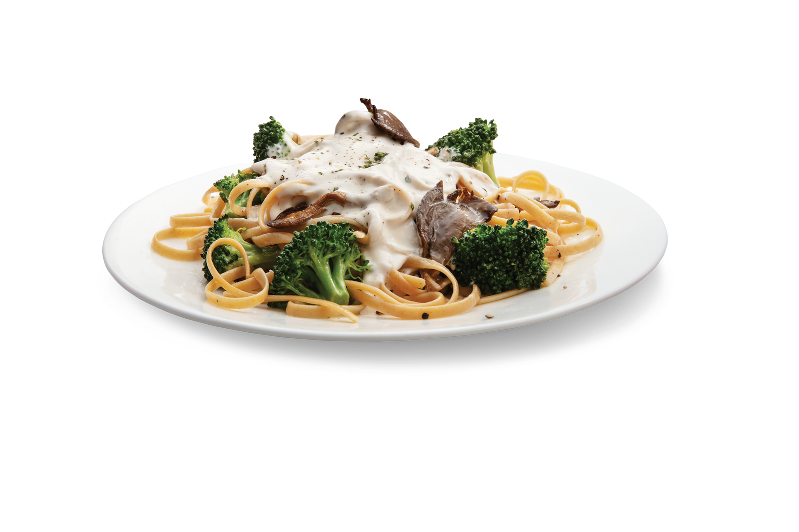 rootberry Fettuccine Alfredo